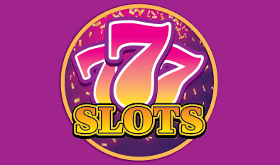 vnzs88.net Logo